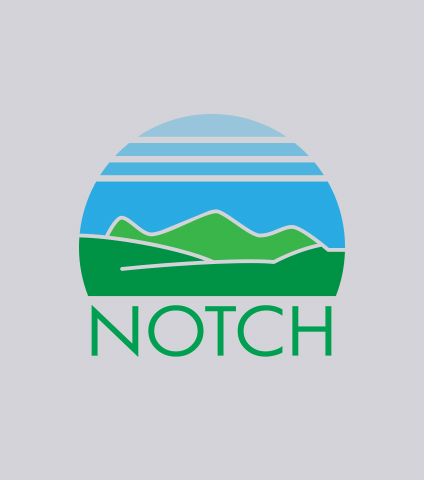 notch logo