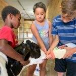 RHC kids feeding cow